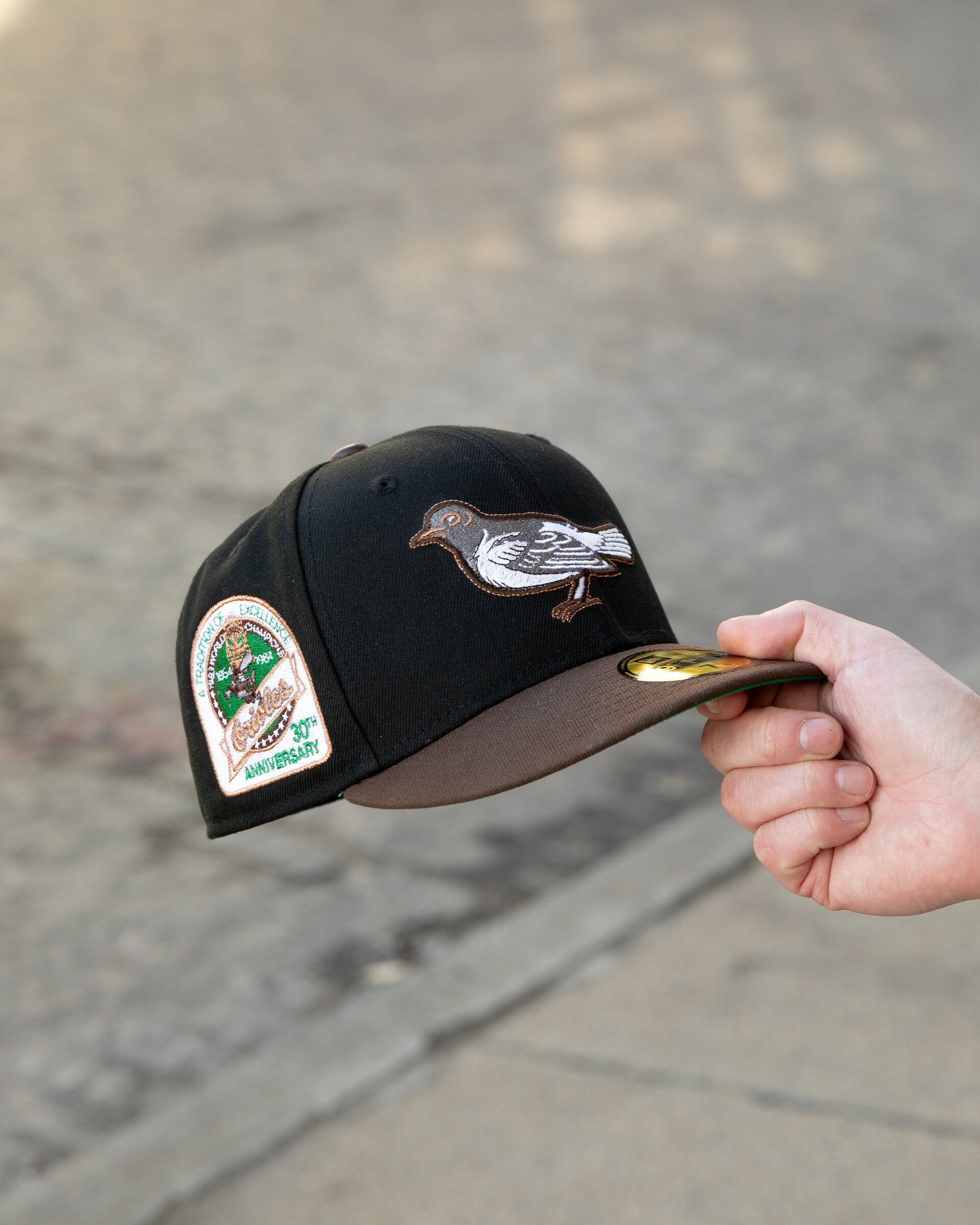 Highlark Originals fitted hat held to camera, songbird embroidery
