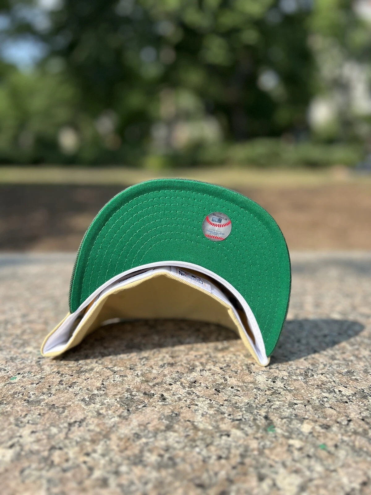 Highlark Curated Cincinnati Reds Money Cash Big Red Machine MyFitteds